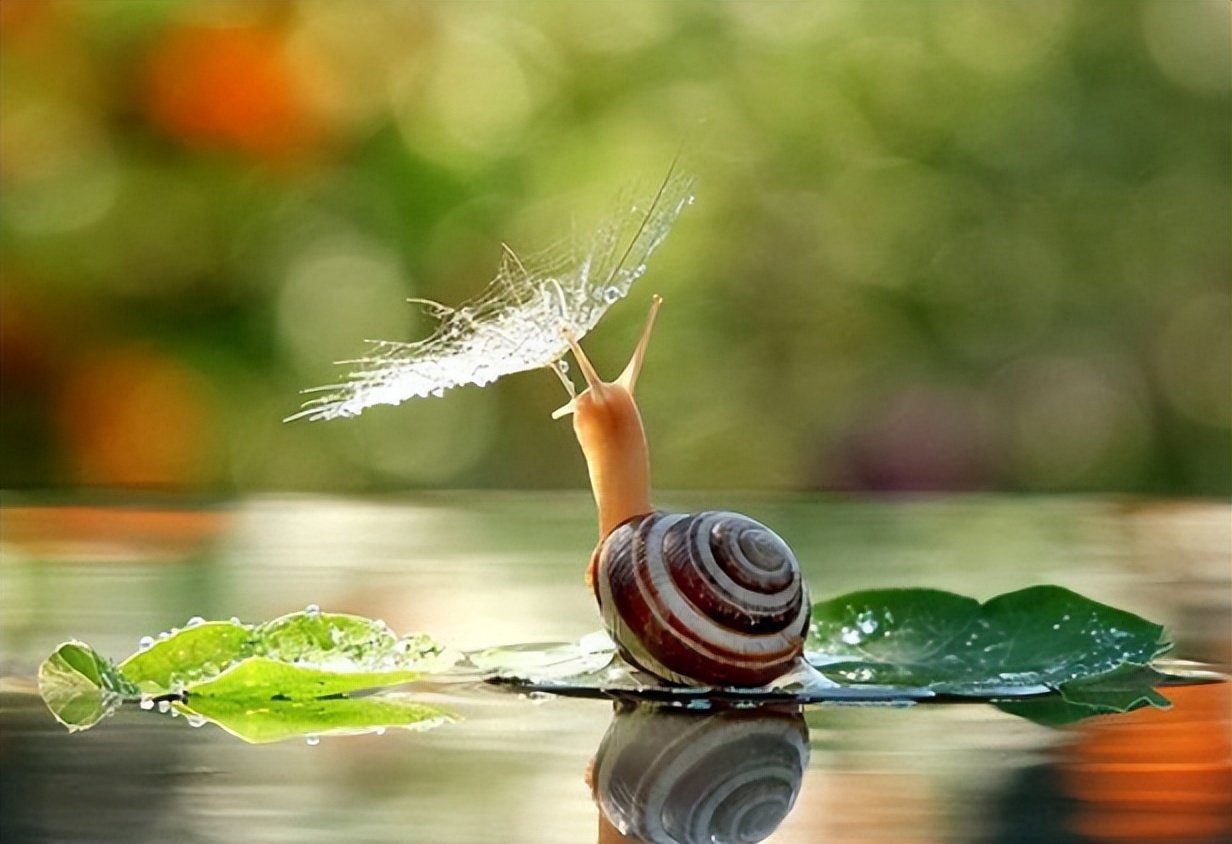 体育单招各院校招生简章,体育单招只有特定的学校才有吗