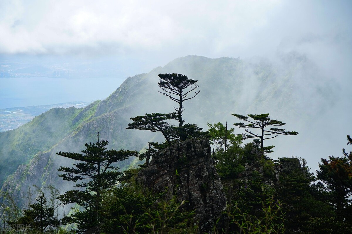 真实的自我与虚假的自我,真实的自我和虚假的自我