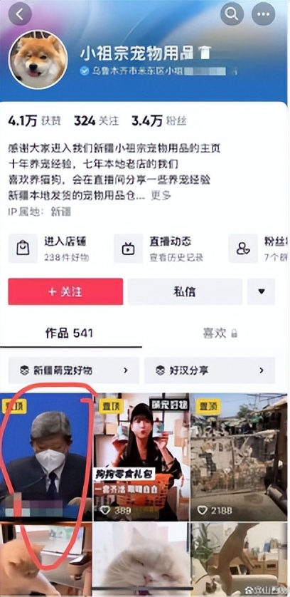 乌鲁木齐宠物店被罚50万,宠物店被罚款50万