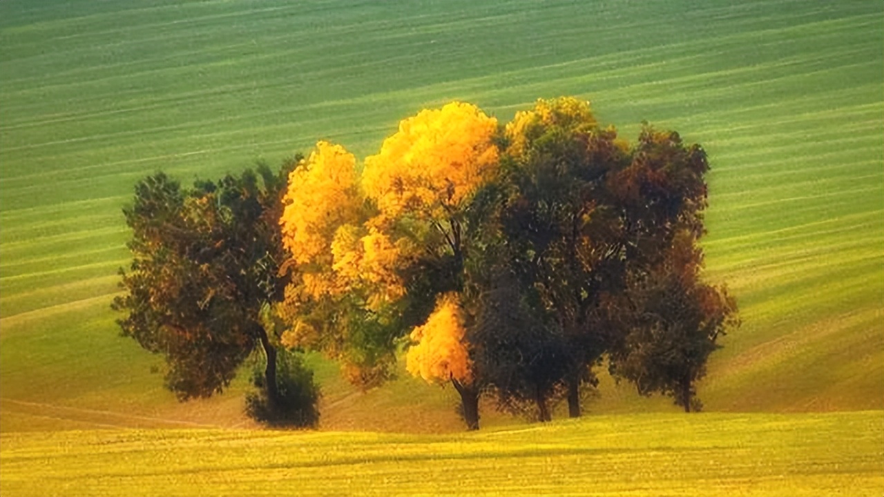 鬼谷子人与人相处计谋,鬼谷子处世谋略老实人