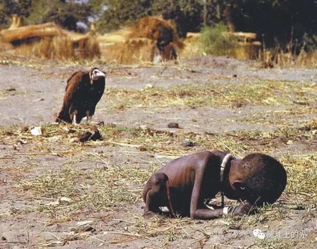 电影那些唯美镜头图片,电影那些唯美意境片段