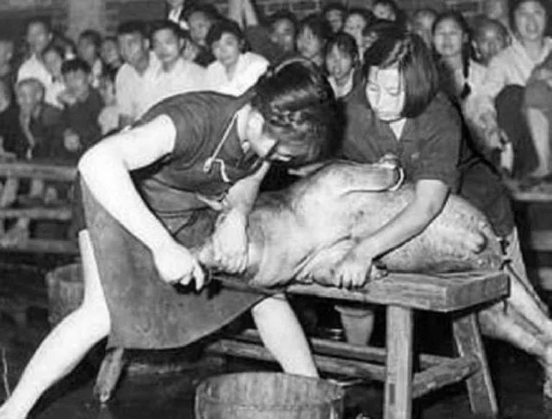 罕见的场面,罕见的场景美景