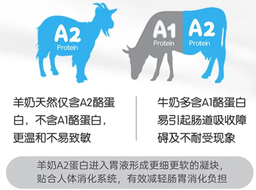 帮助降胆固醇的食物,老年人怎么降三高吃什么营养品