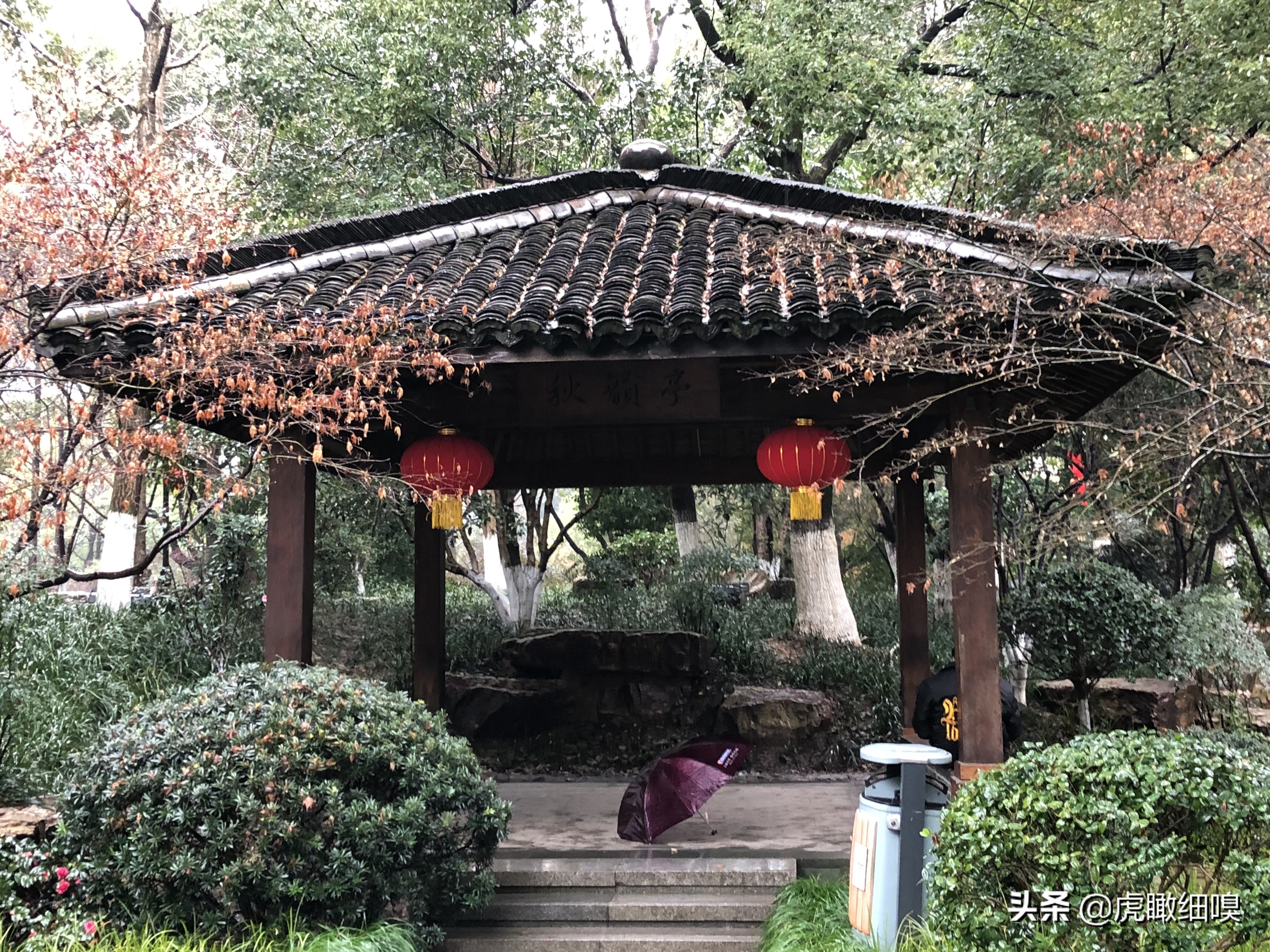 临平水景公园秋天,临平公园当地知名度最高的公园