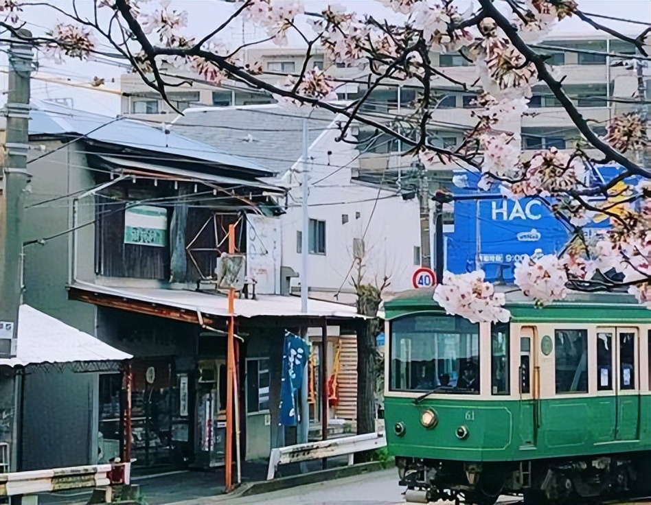 讽刺骗人的动漫,你以为动漫里都是假的吗