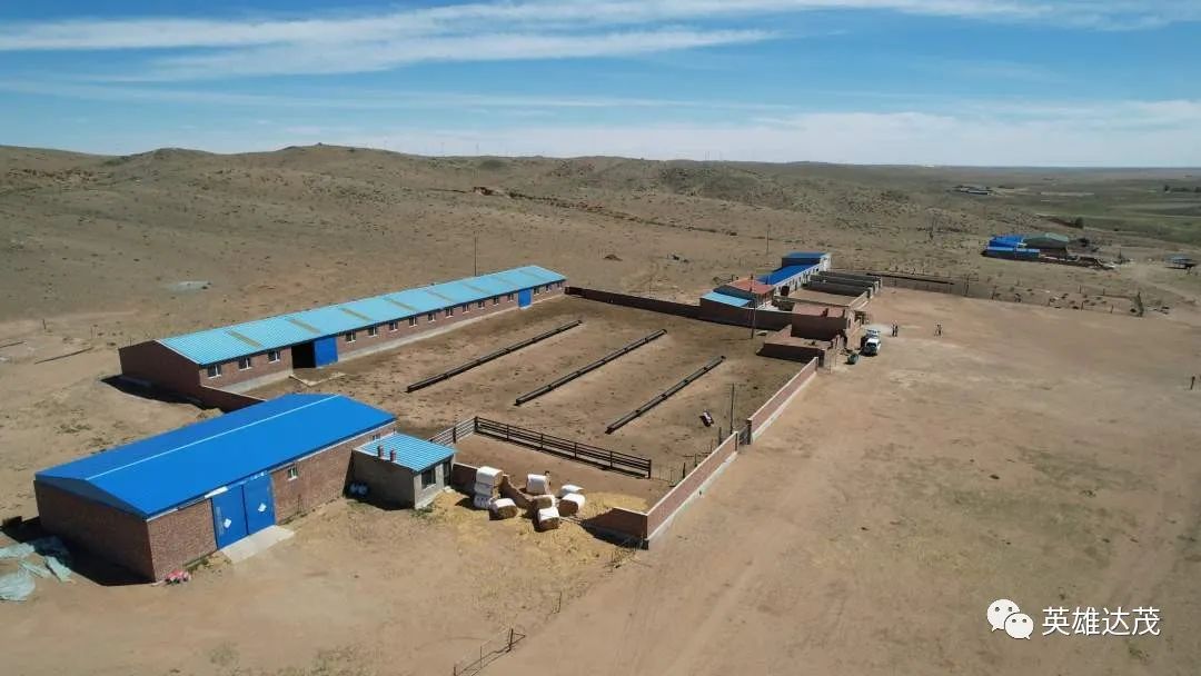 乡村行看振兴玉林,乡村行看振兴山西