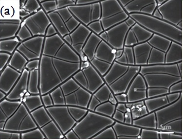中北大学赵宇宏教授团队:石墨烯纳米片/AZ91D镁基复合材料腐蚀行为研究