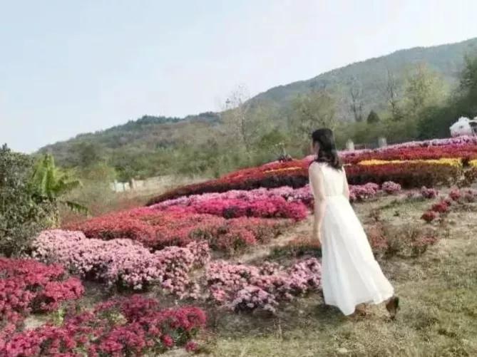 蚌埠禾泉山庄在哪里呀,蚌埠禾泉山庄爬涂山旅游攻略