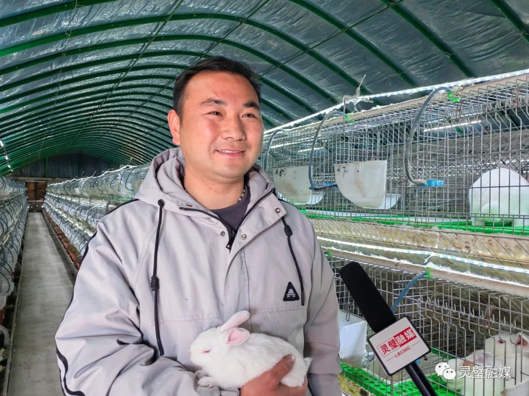 灵璧青年丁云：乡村振兴路上“兔”飞猛进