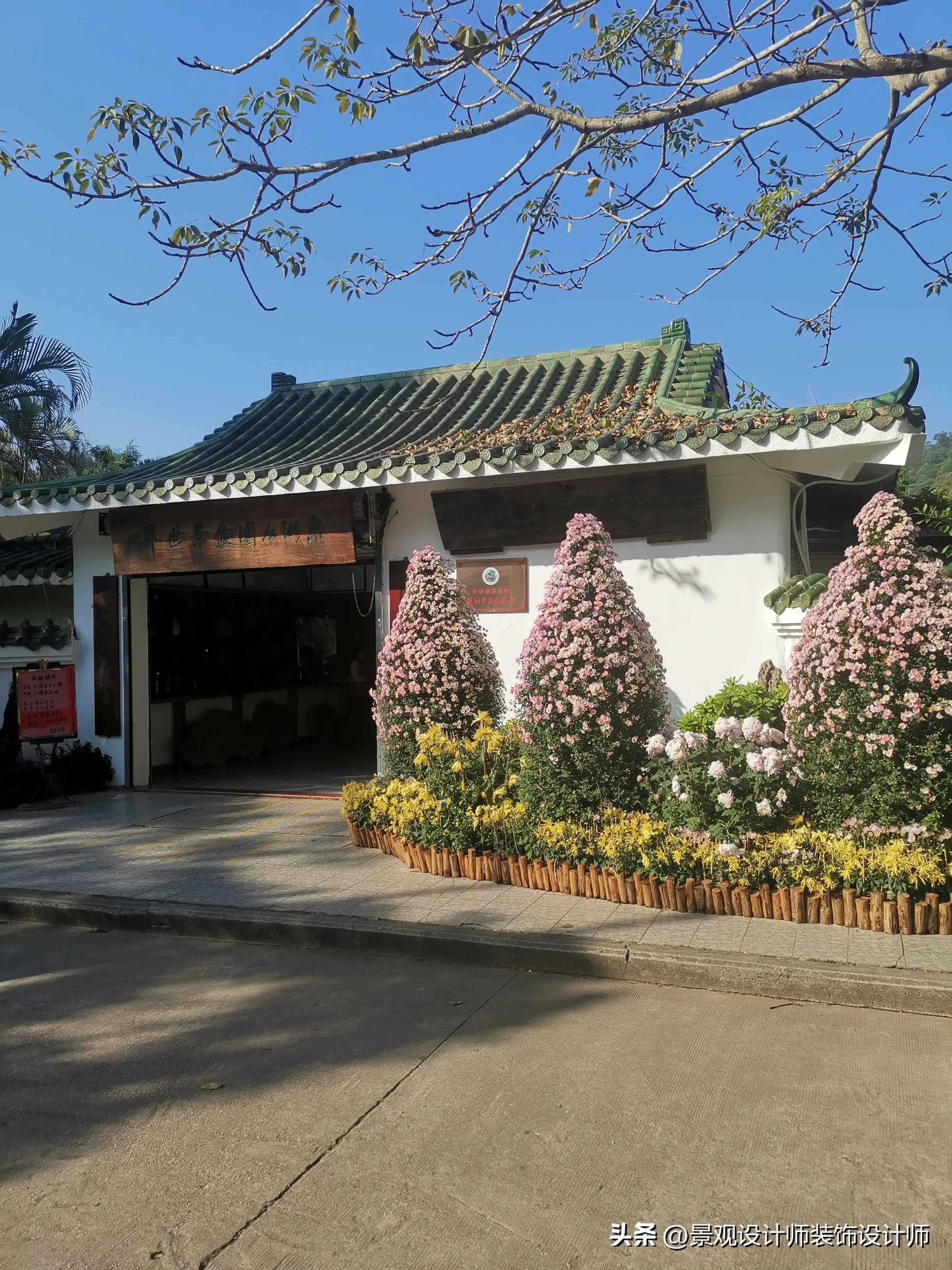 深圳市东湖公园广场舞,深圳市东湖公园收费标准