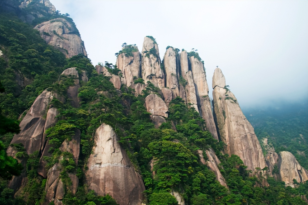 如何克服相互依赖，打破不健康关系的循环，一起看看吧