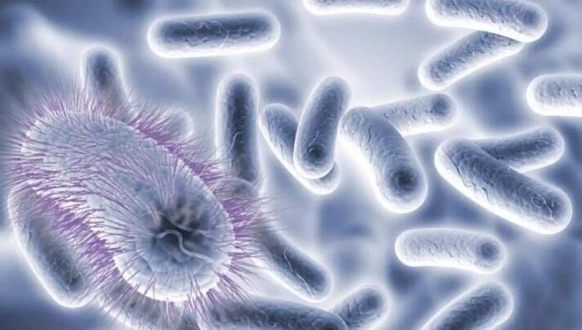 石榴中维生素c的含量高吗,石榴中维生素c含量