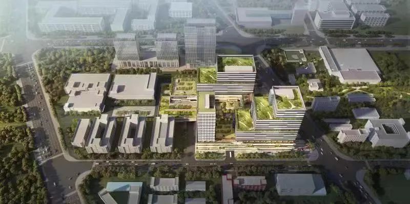 坪山质量强区建设迈上新台阶,聚焦高质量发展的坪山