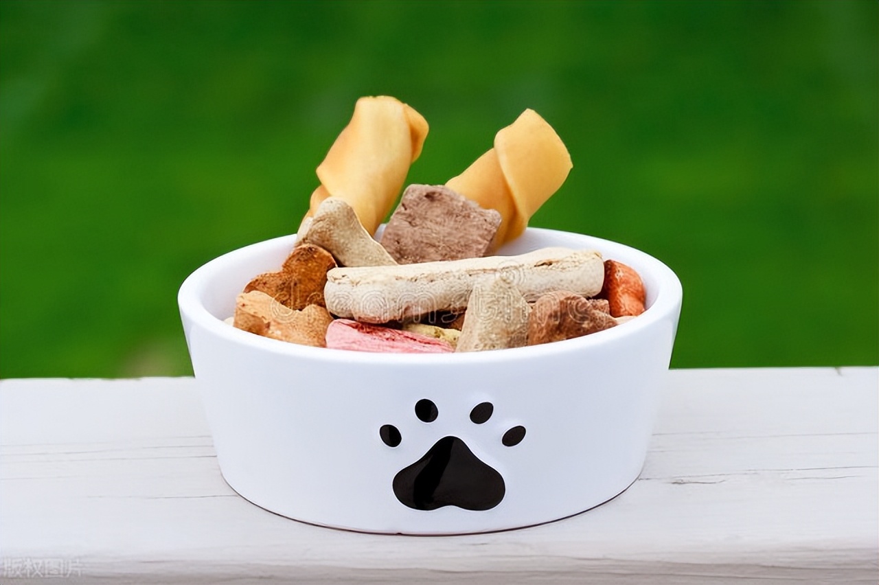 幼犬不吃狗粮怎么办快速解决方法,幼犬怎么纠正不吃自己的屎