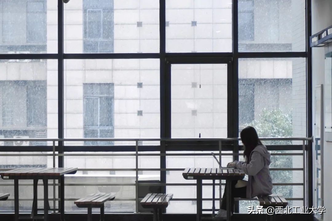 今日雨水!工大四季高清美图，欢迎欣赏使用~