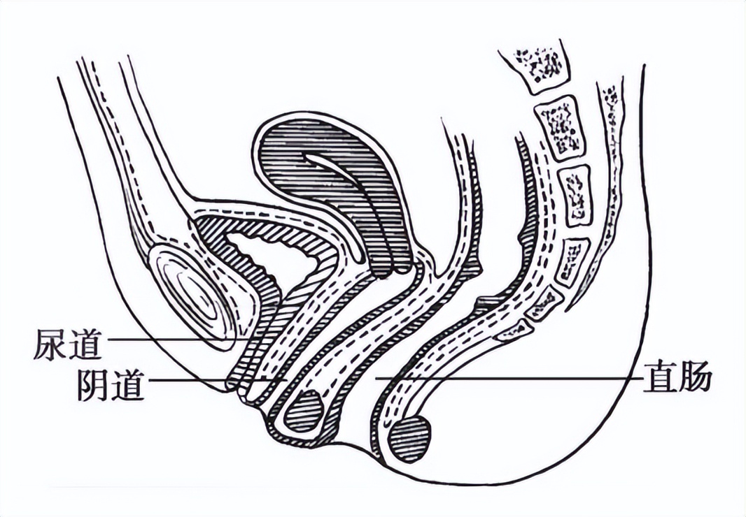 99%的人都不会正确擦屁股,带薪拉屎必看!