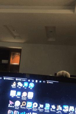 厕所所有隐藏彩蛋,厕所全部隐藏彩蛋