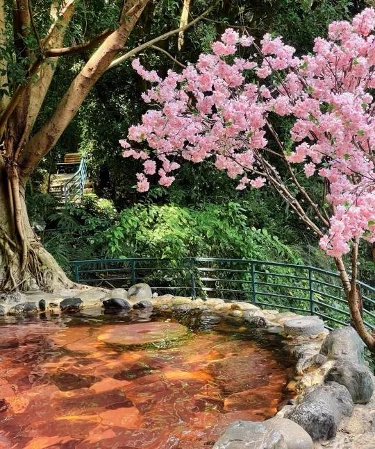 昆明适合儿童度假玩乐的温泉酒店,昆明西麓温泉山谷6-7期在哪里