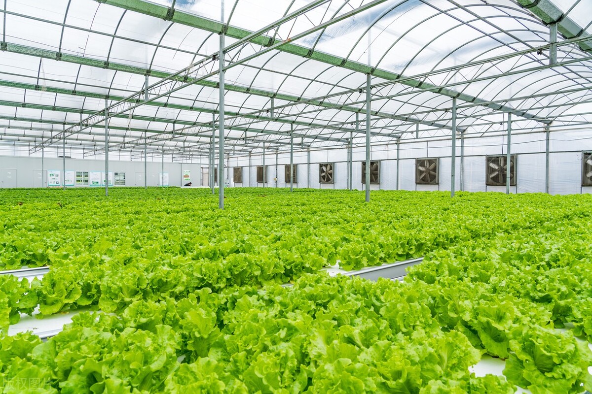 她的创业史,讲述他的创业故事