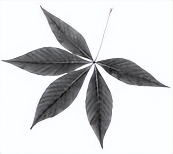 俄亥俄州立有哪些大学,俄亥俄州立大学的名气