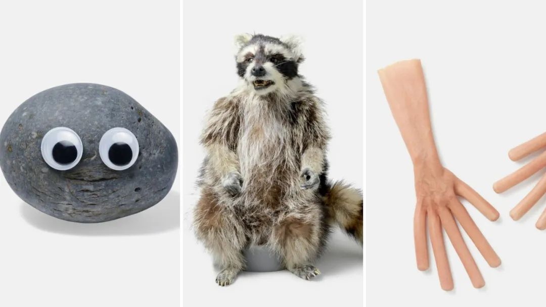 太火了，杨紫琼都没这浣熊有人气