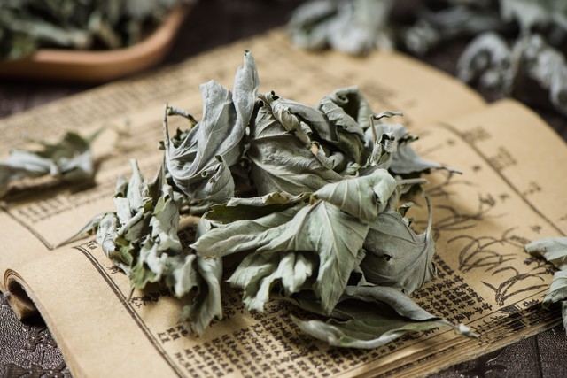 艾草香驱蚊方法教程图片,艾草驱蚊子最好方法