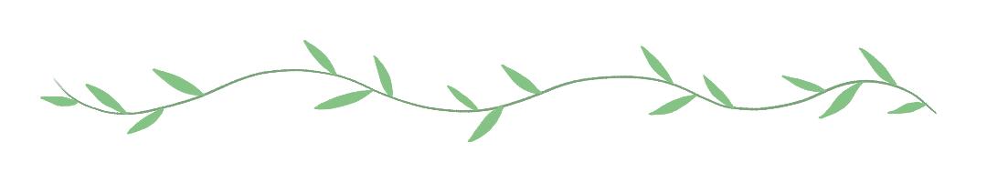 十分名贵且罕见的绿牡丹,皇家风范珍稀名品黄牡丹