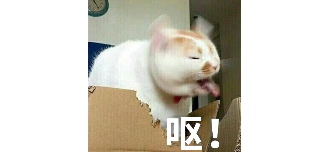 灵芝孢子粉是治百病的吗,灵芝孢子粉真的有那么好