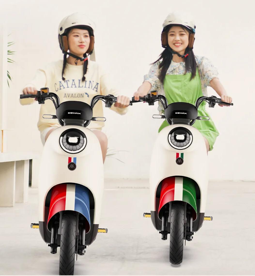 新国标爱玛改款,爱玛高端新国标