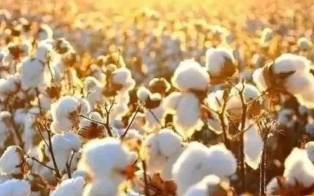 火焰山燃烧千年无法扑灭完整版,火焰山震撼