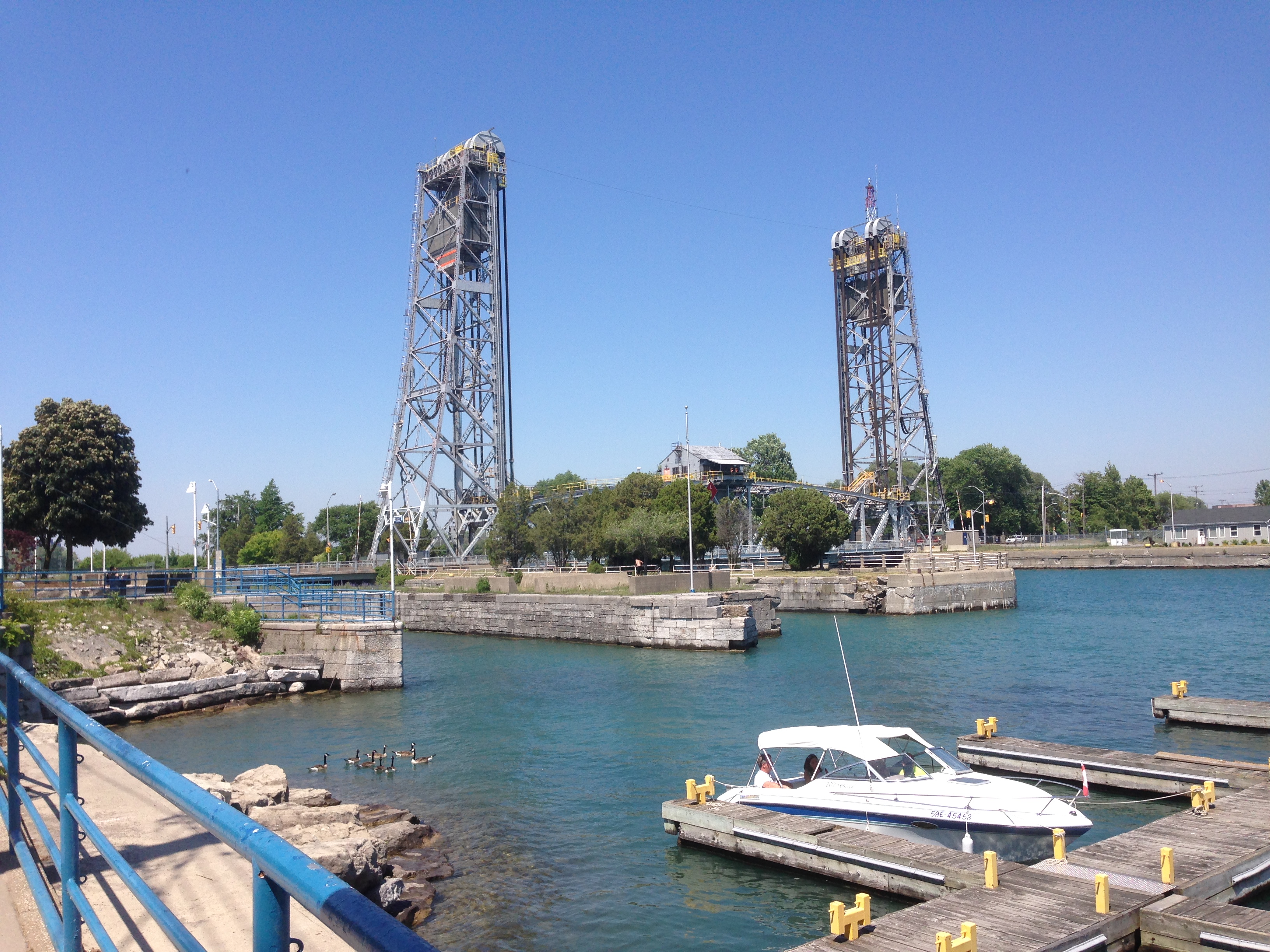 多伦多园丁猴哥,多伦多园丁猴哥猴嫂视频