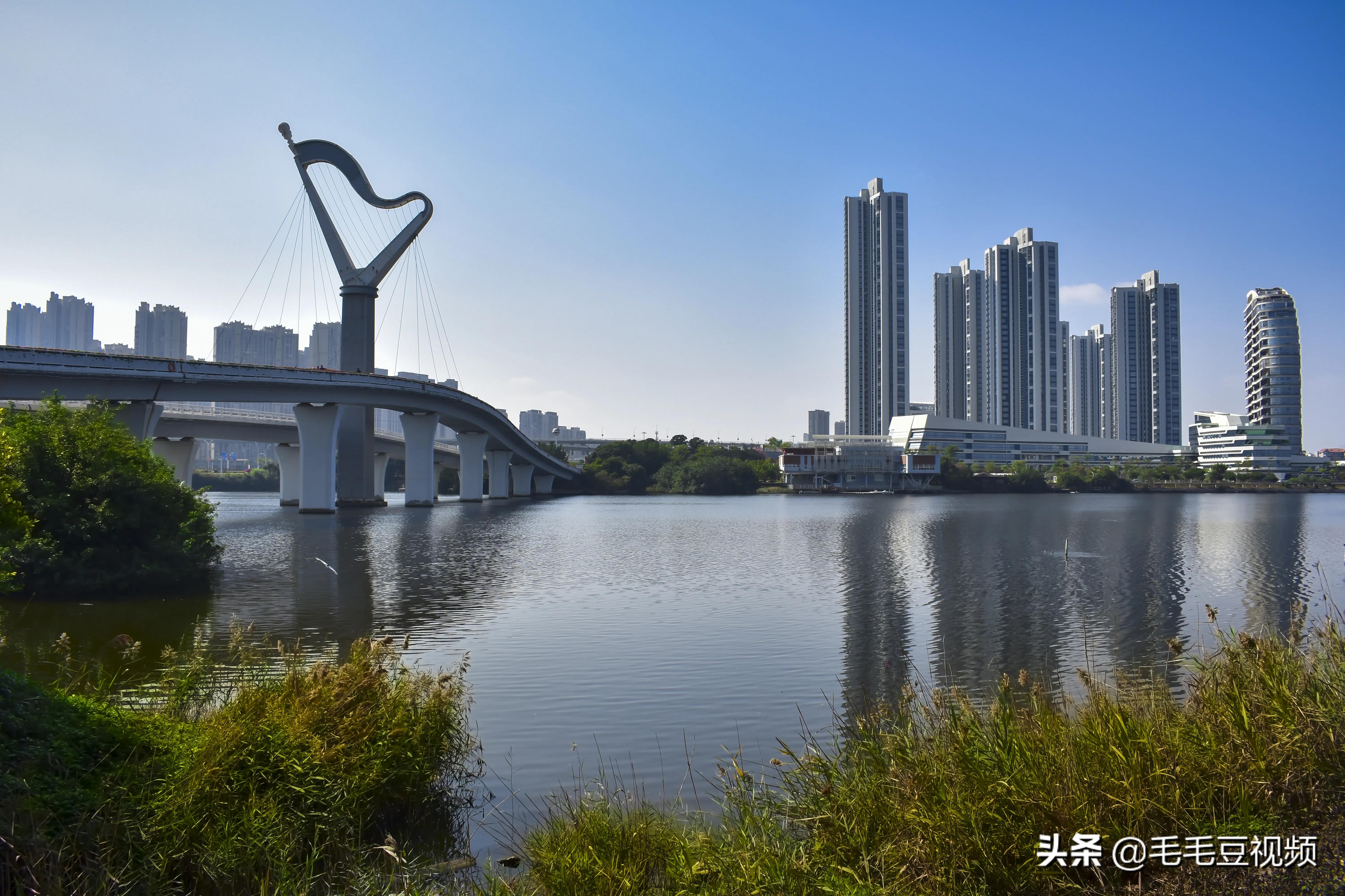 厦门适合初次约会的景点,厦门约会免费景点攻略图