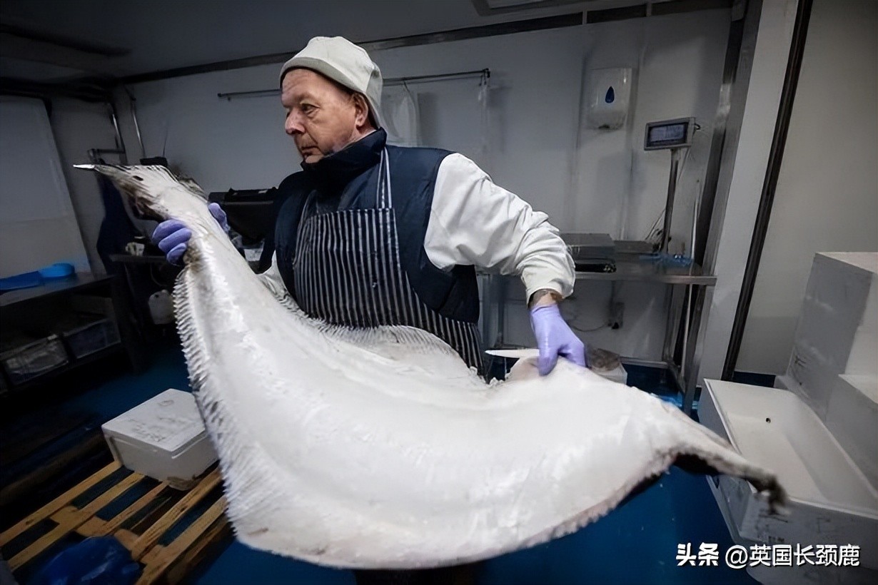 在英国怎么在网上买东西,英国海鲜刺身哪里买