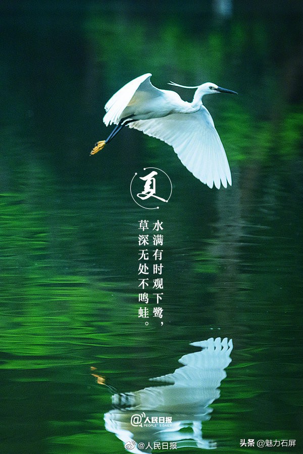 古诗词夏日美景,当夏日美景遇上古诗词怎么写