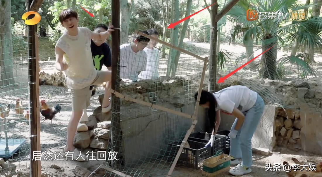 向往的生活那英撮合杨紫张艺兴,向往第五季开播了吗