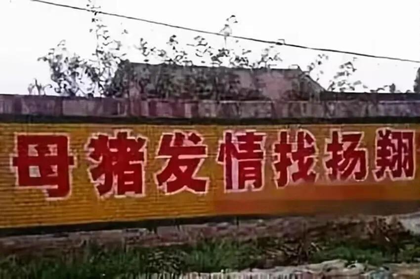 笑死个人的标语，层出不穷50图（上）