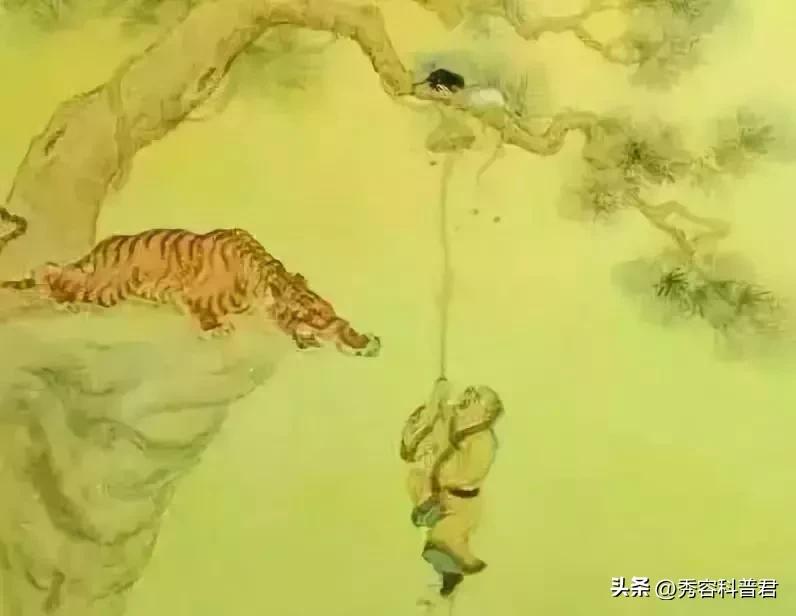 黑白老鼠的爱情故事,黑白老鼠寓意