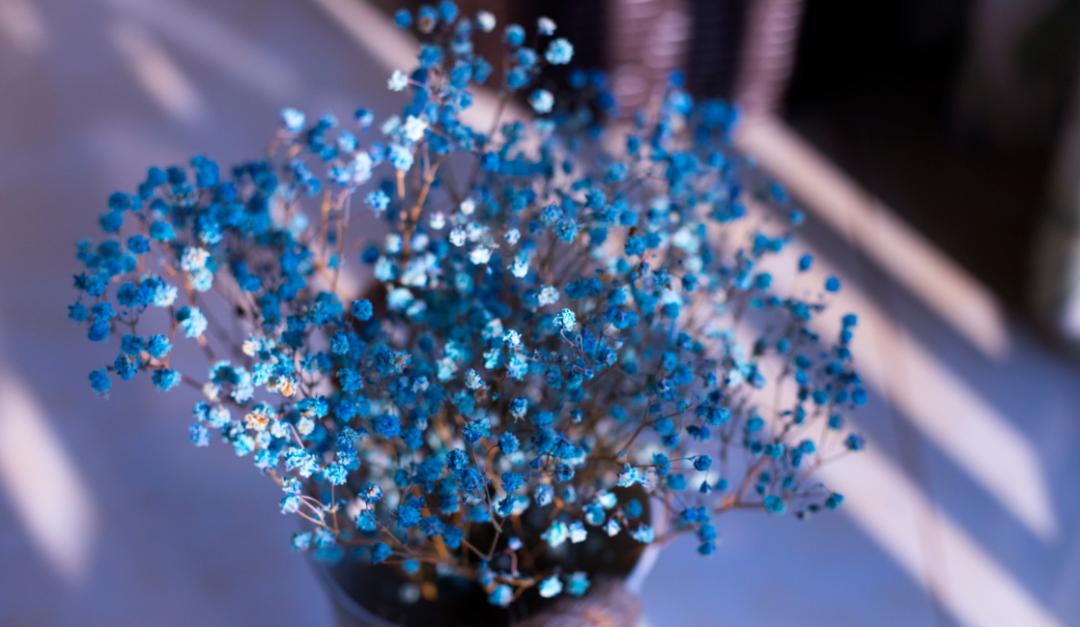 10字友谊文案,关于友谊十年的文案