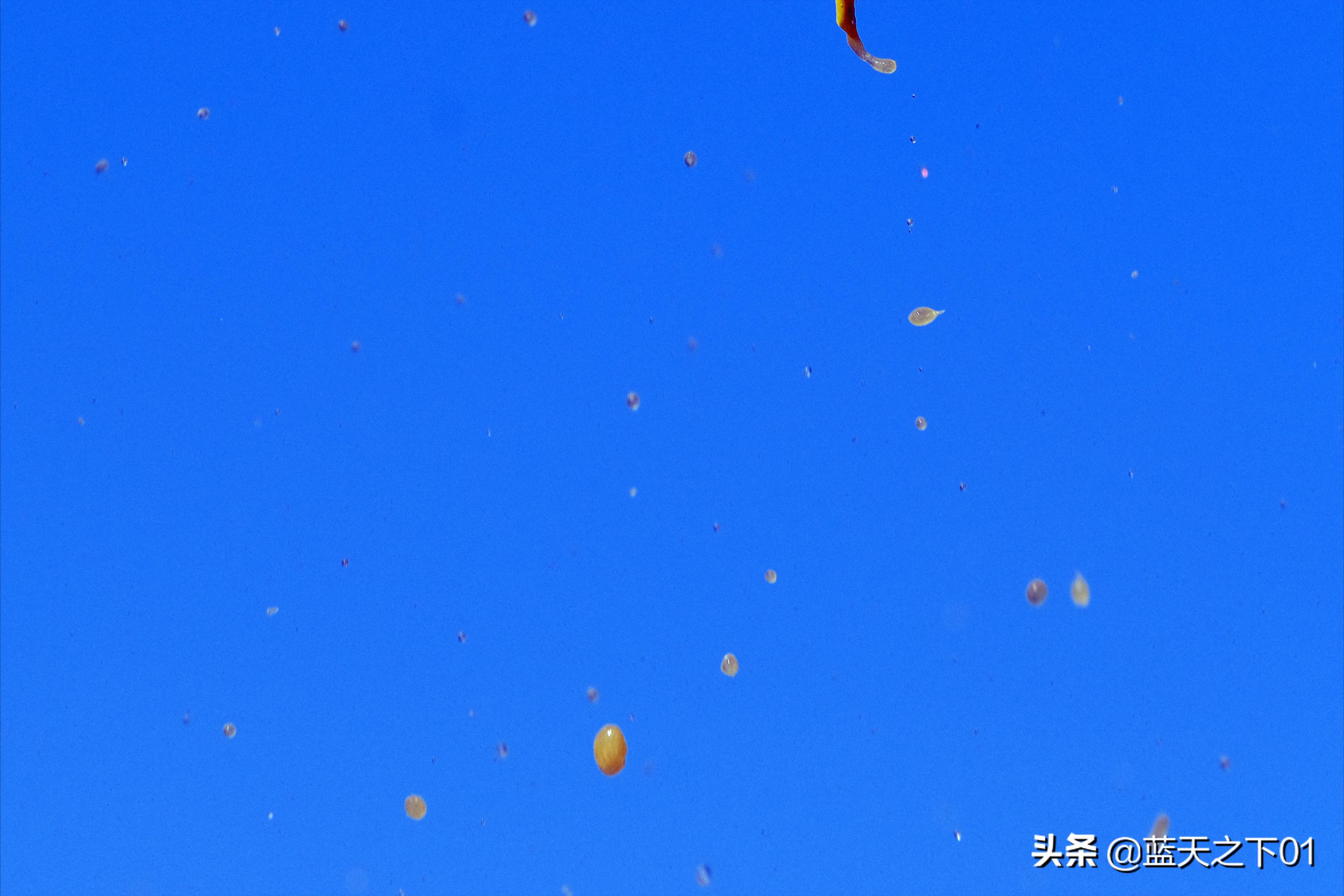 富士xt3拍出电影感,富士x-t3如何拍虚化