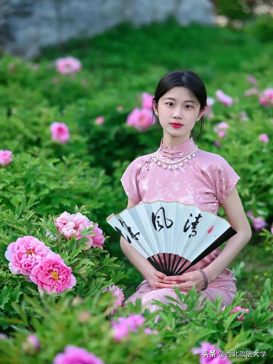 你为什么考研选择西法大,为什么选择西法大