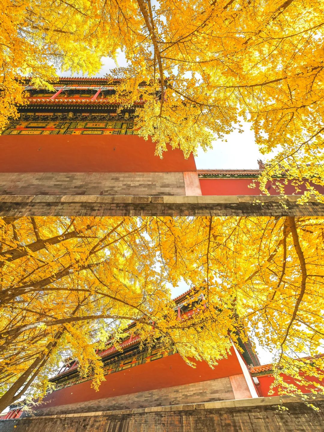 一入秋北京就变成了北平原文,一入秋北京就成了北平是谁说的