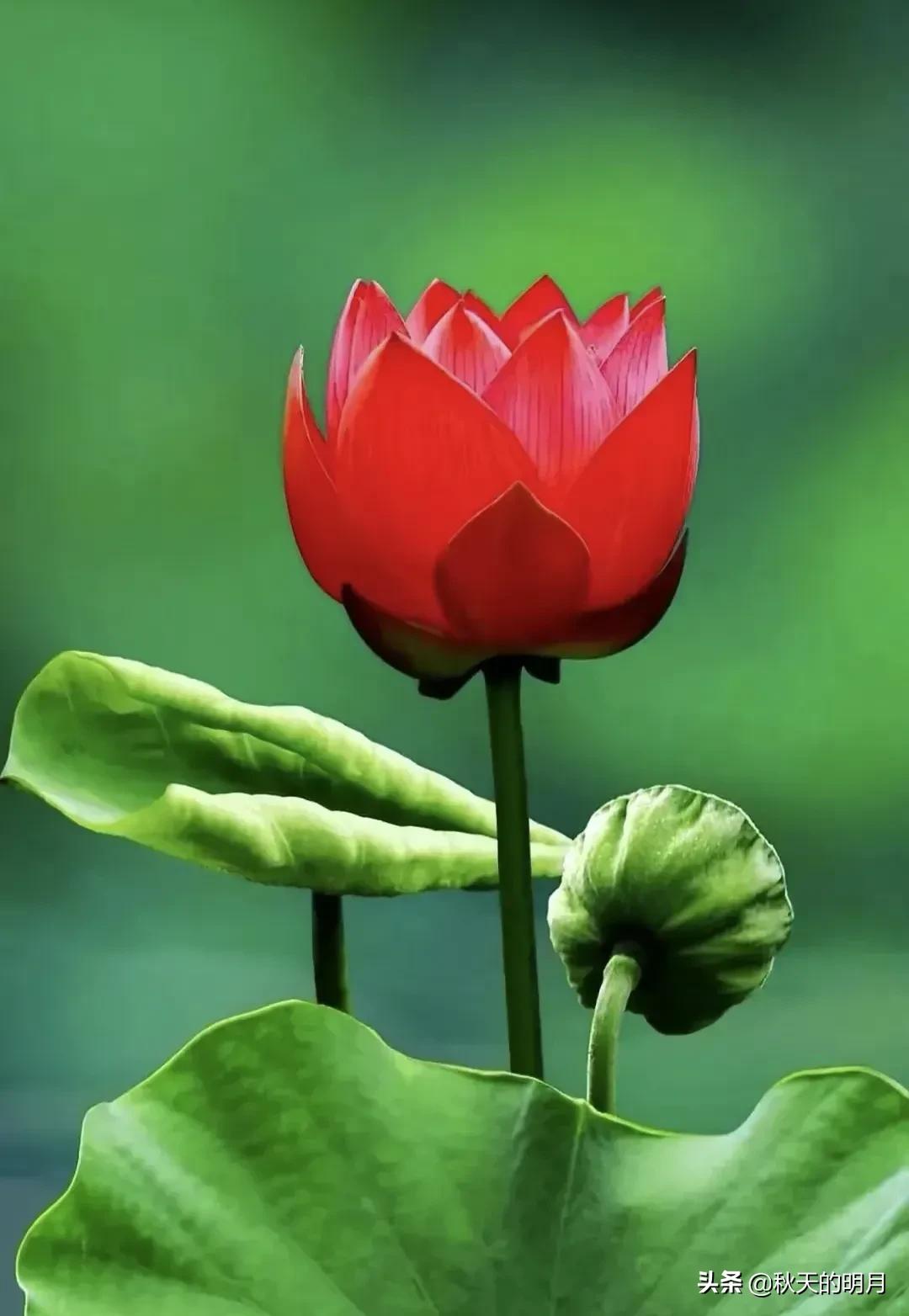 孙女上大学父母该给多少钱,孙子上大学爷爷奶奶不应该给钱吗