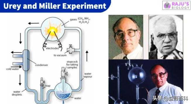 目前为止自然界发现的氨基酸有,地球之外首次发现氨基酸