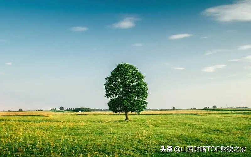 每日财税一课,税务每日一答全文