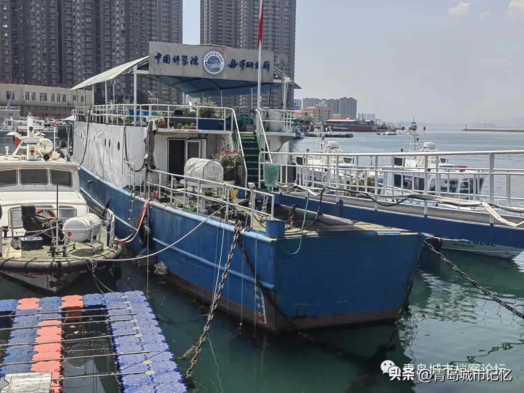 青岛国际邮轮母港有军舰吗,青岛邮轮母港里有军舰