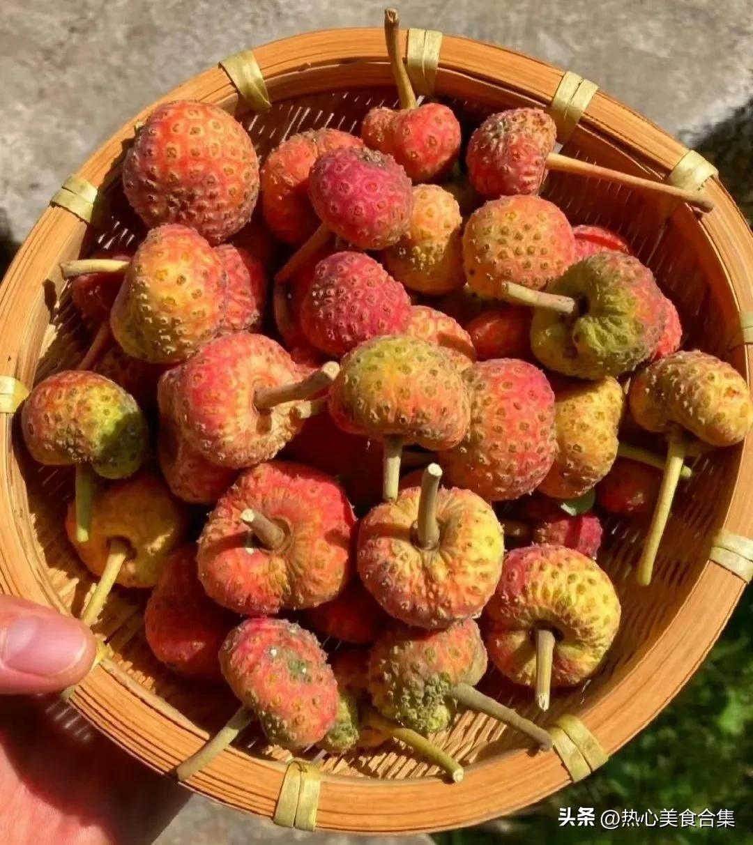 奇葩水果你见过但你肯定没吃过,奇葩水果图鉴你能认得出几种呢