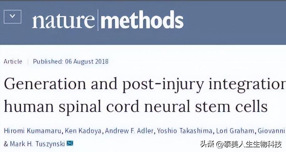干细胞脊髓损伤治疗图片,干细胞治疗脊髓损伤临床案例