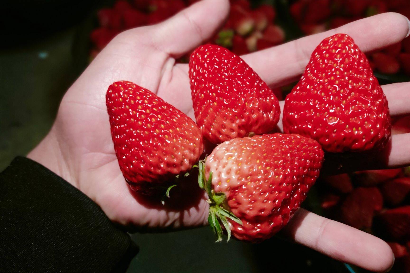 子宫内膜癌有哪些征兆,子宫内膜癌身体没有症状