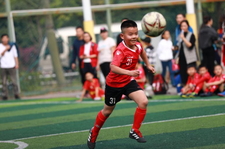 十年磨一剑更上一层楼,十年磨一剑启航新征程