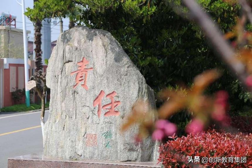 映日荷花别样红纪实片,映日荷花别样红作品介绍